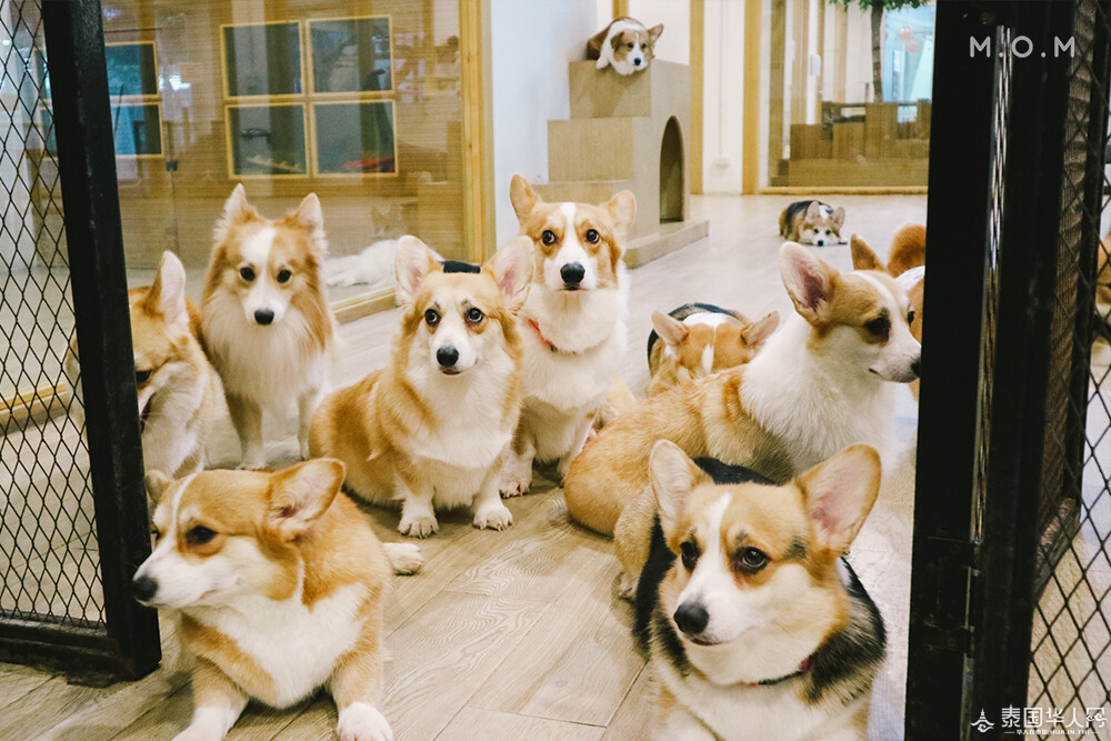 littlezoocafe_30 (1).jpg